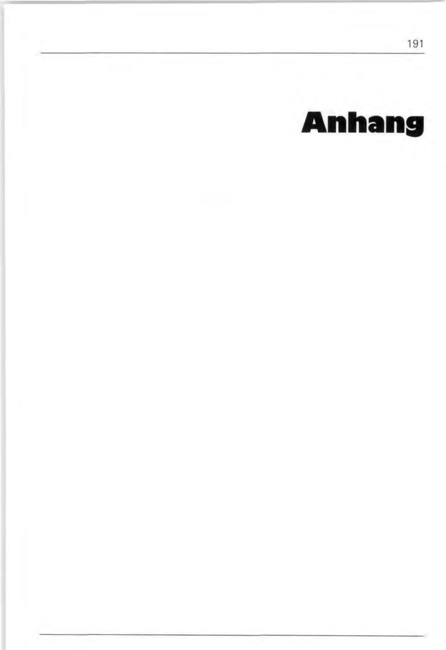 Seite 191