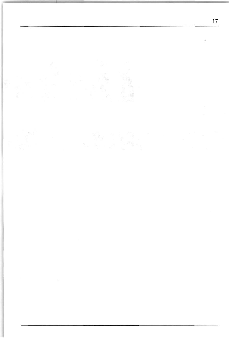 Seite 17