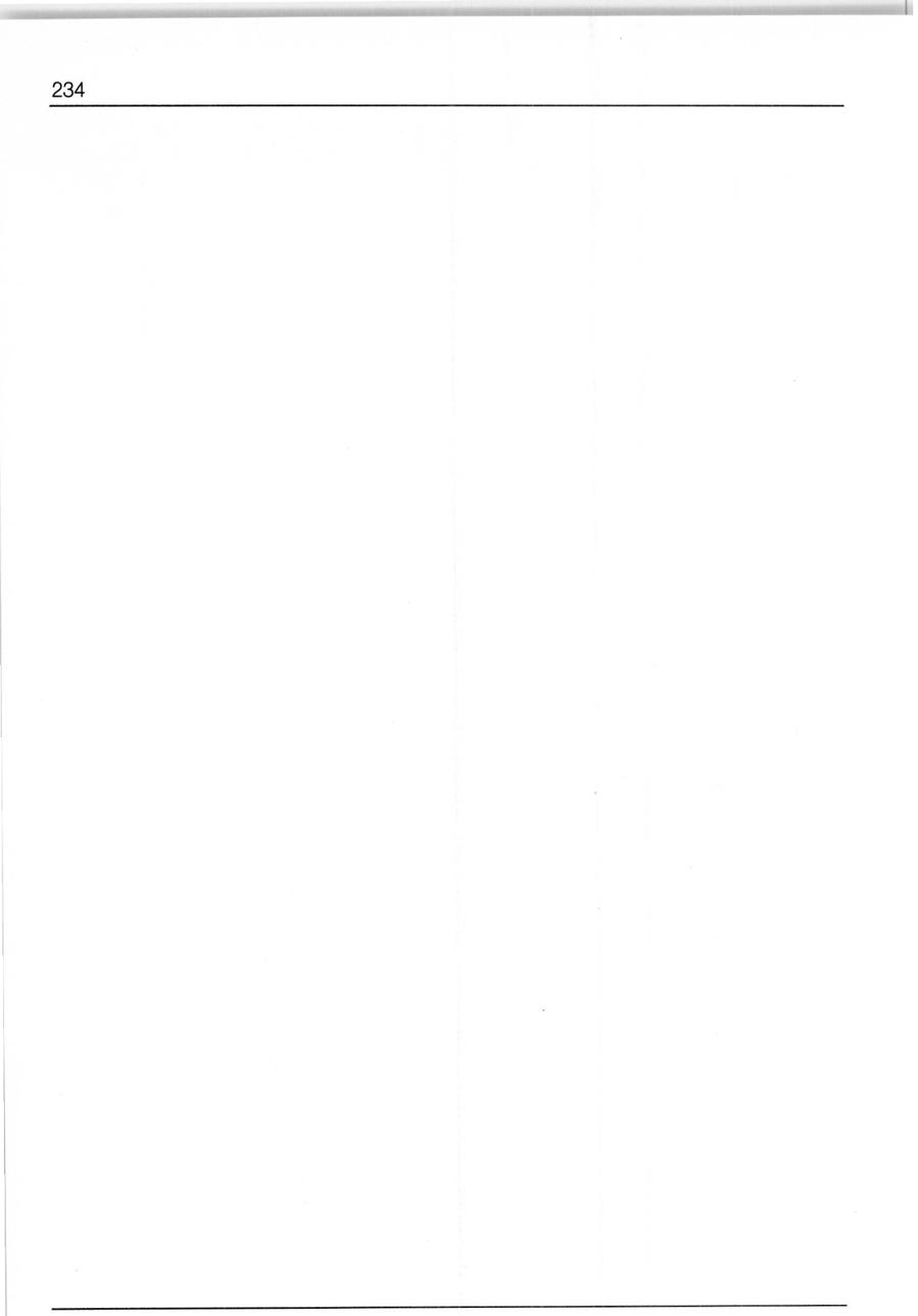Seite 234