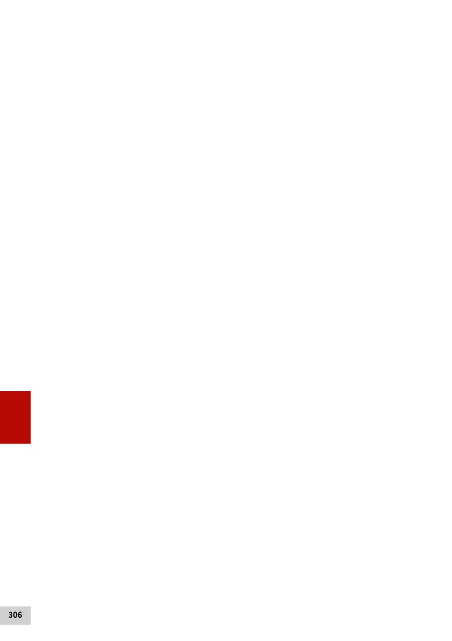 Seite 306