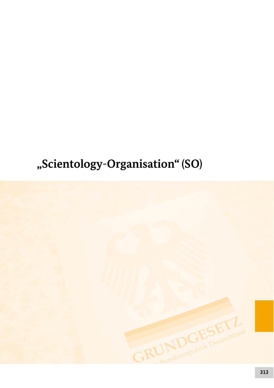 Seite 313