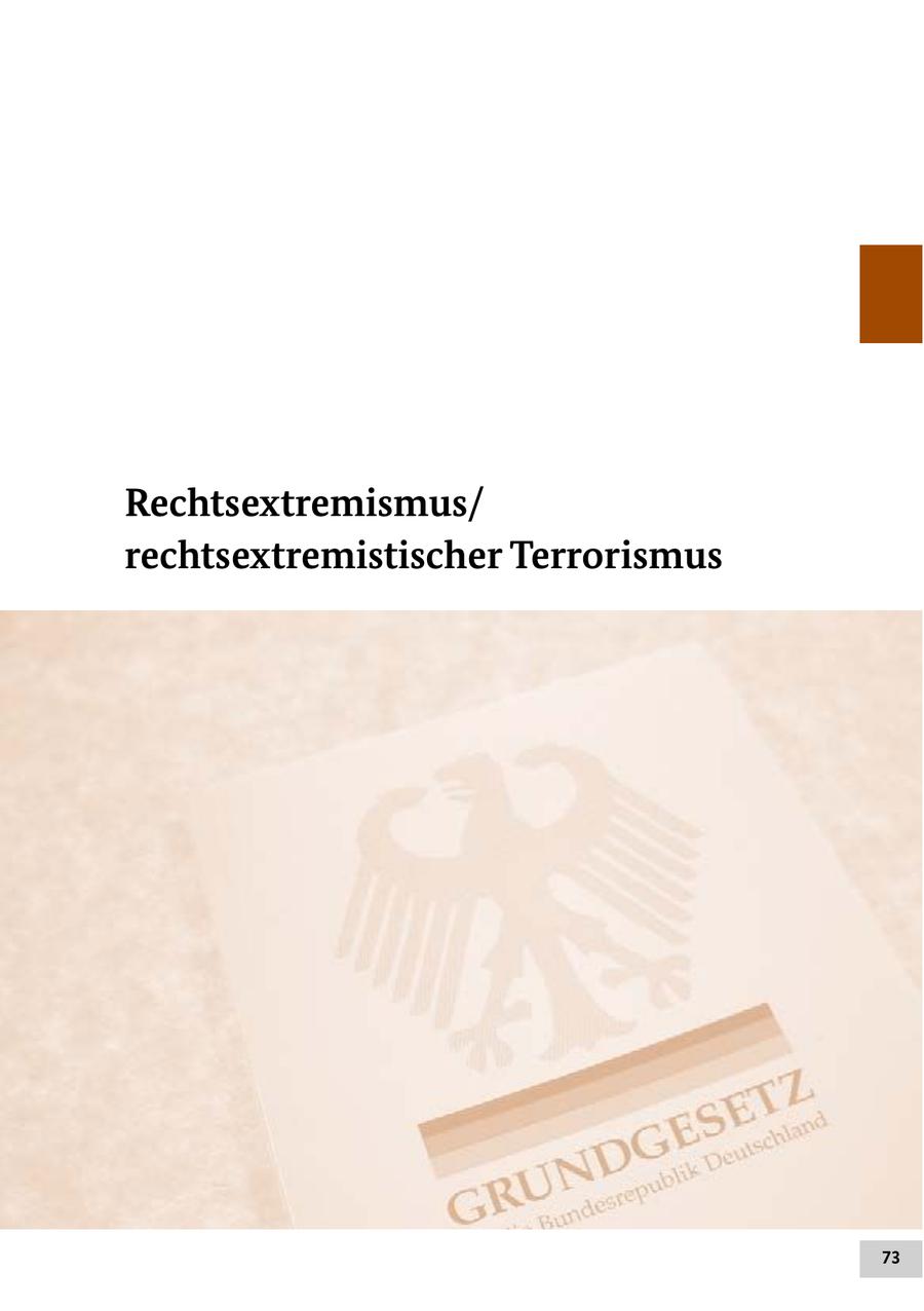 Rechtsextremismus/ rechtsextremistischer Terrorismus 73