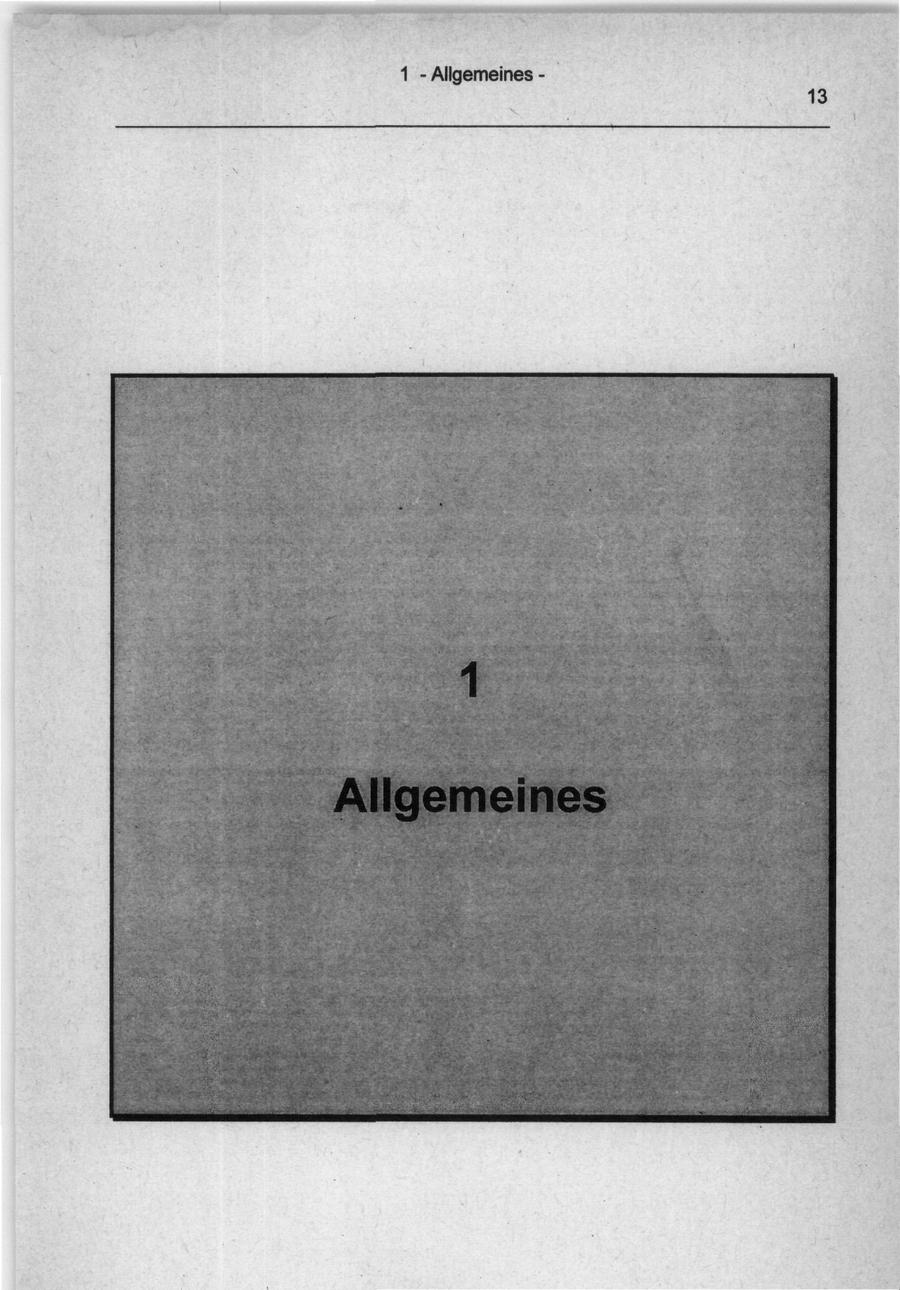 Seite 13