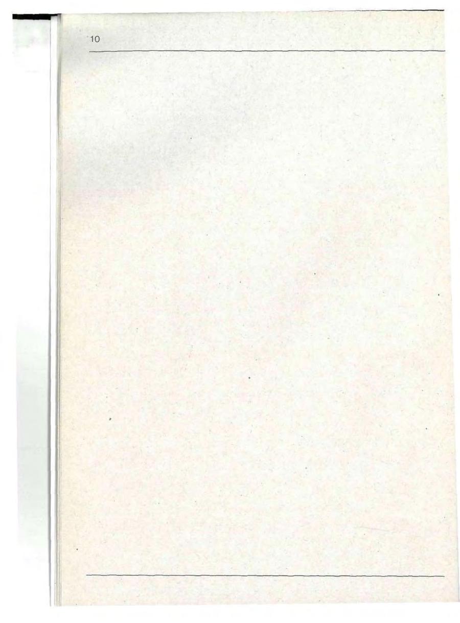 Seite 10