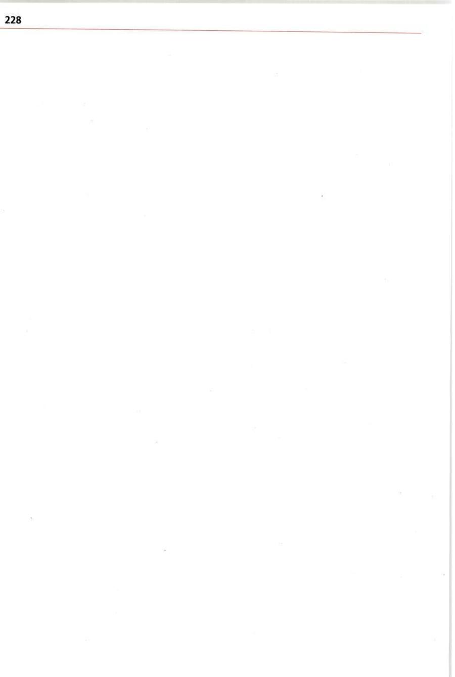 Seite 228