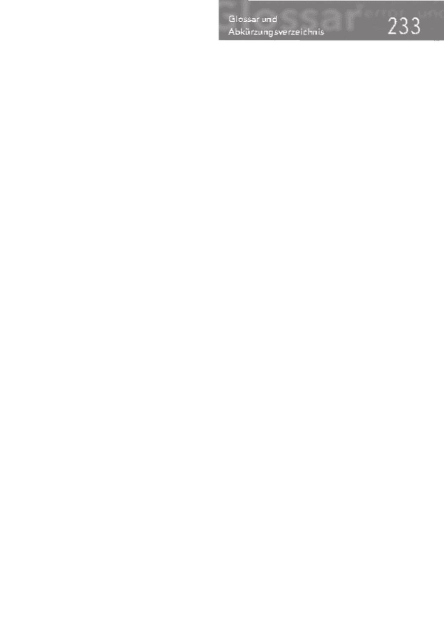 Seite 233