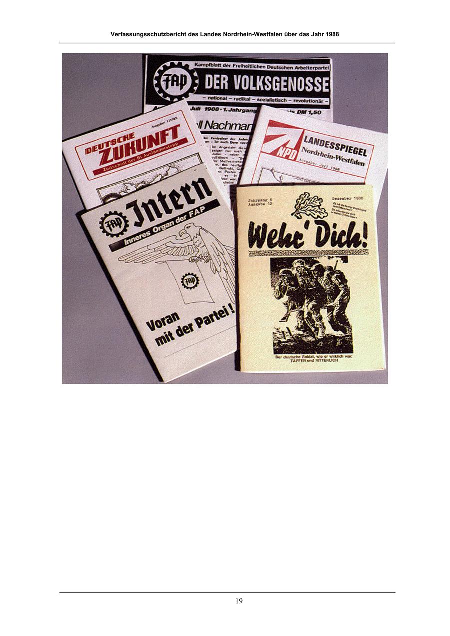 Seite 19